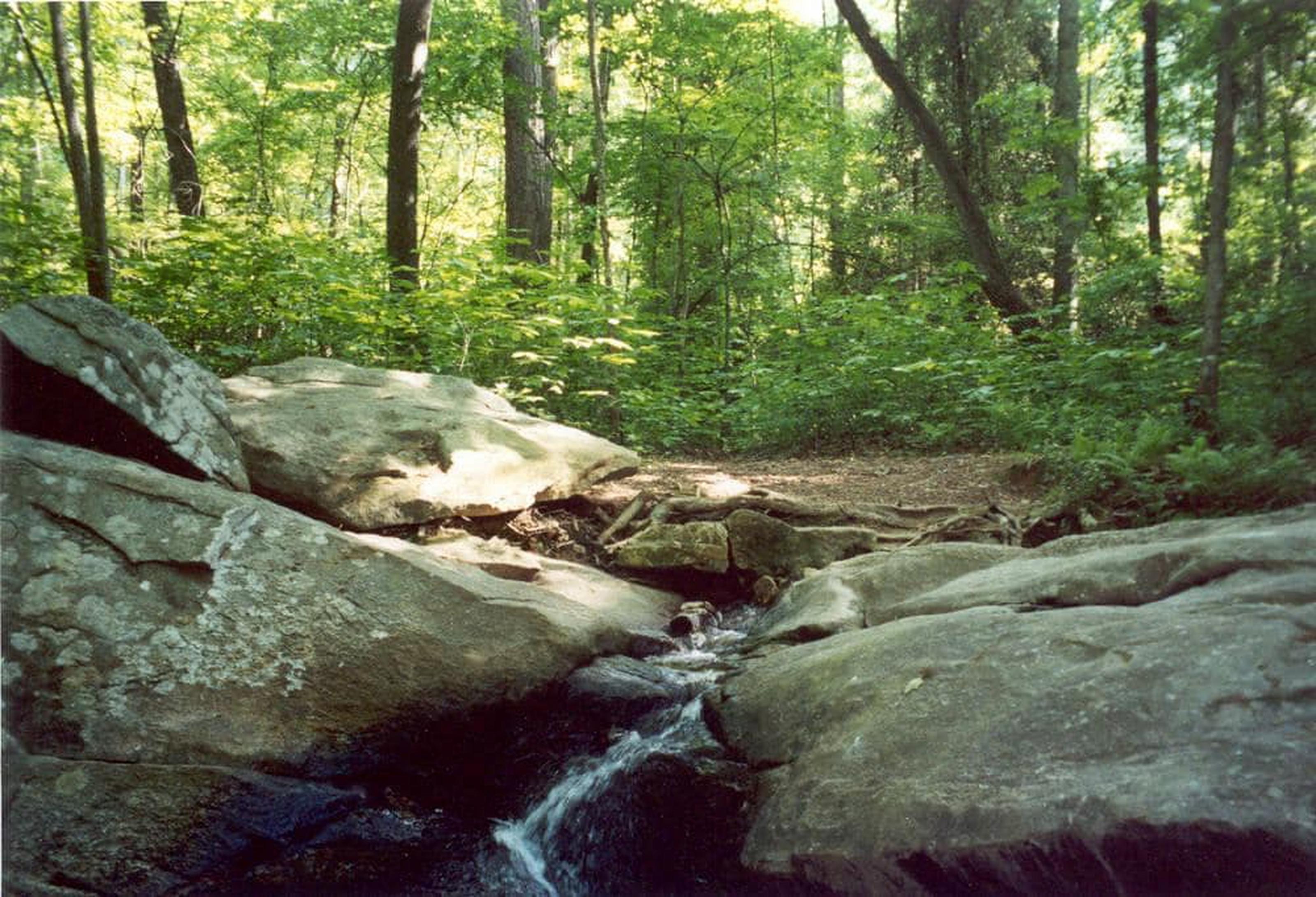 Hotel Atlanta Evergreen Lakeside 4*